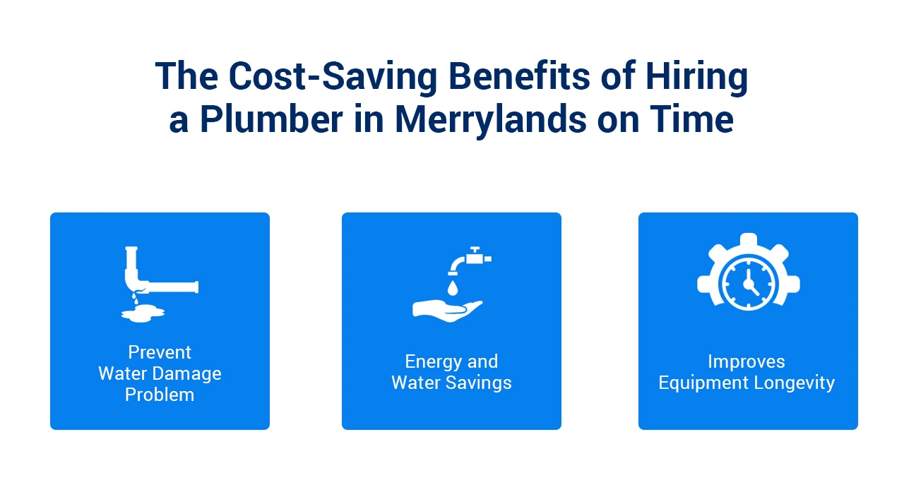 Plumber in Merrylands