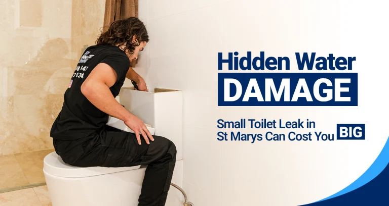 leaking toilet repair